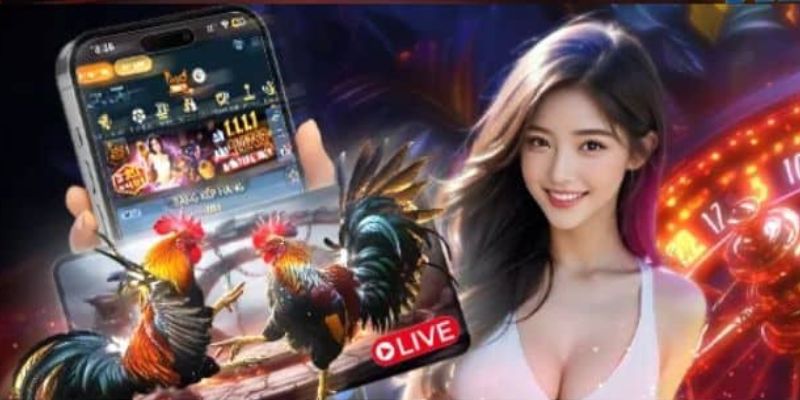 Tỷ lệ trả thưởng tại đá gà GA28 cao, minh bạch